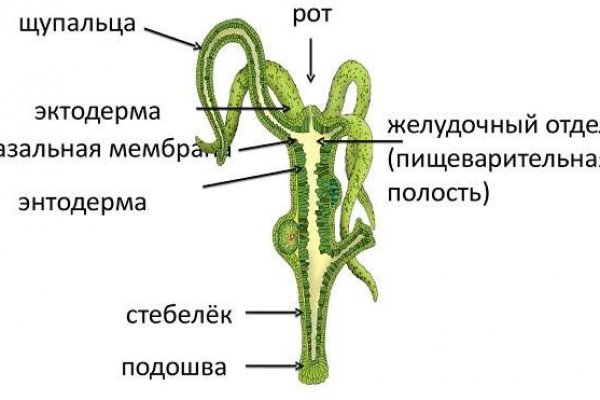 Список сайтов даркнета